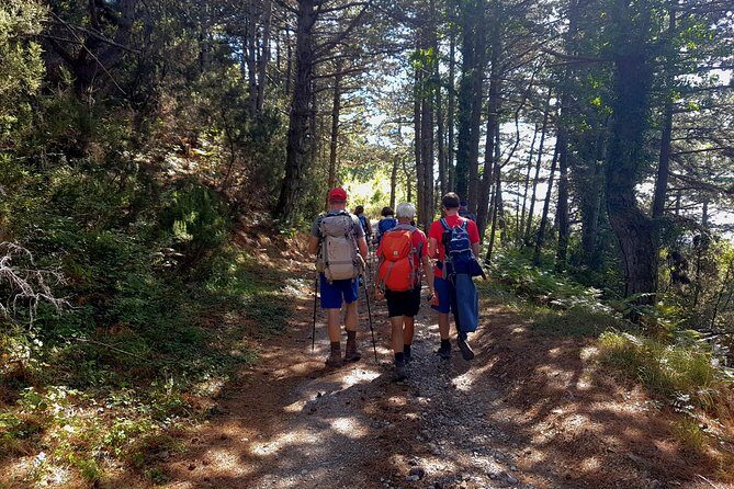 Hiking Vrmac peninsula with panoramic view on Kotor bay - How strenuous is Vrmac, really?